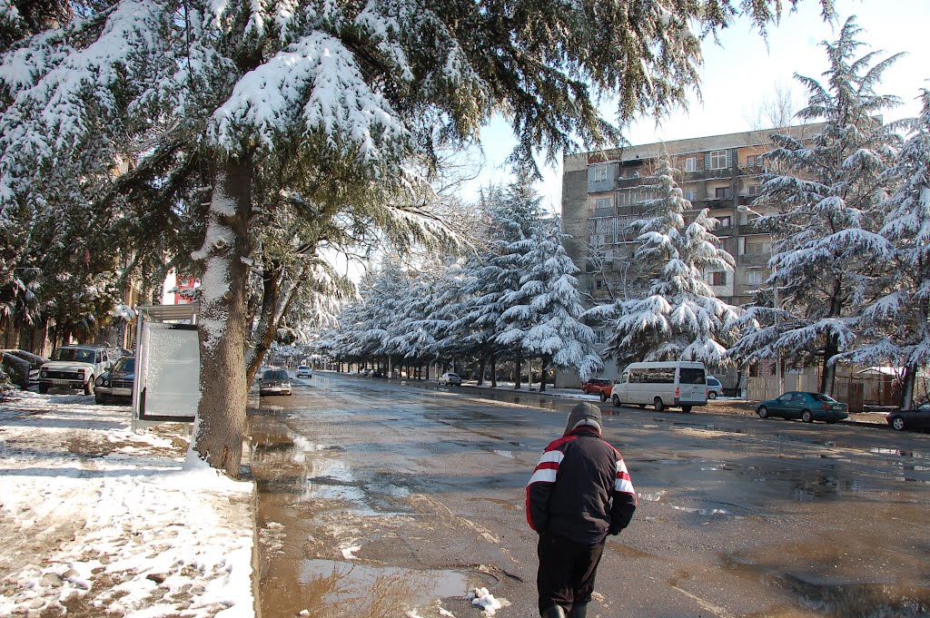Abashidze street, 2012