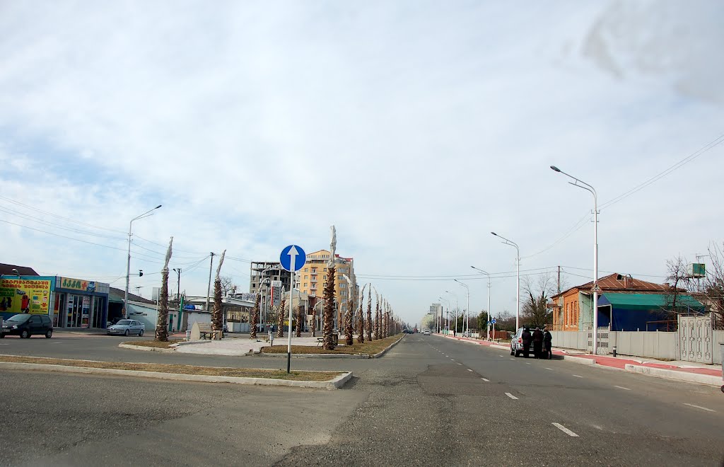 Agmashenebeli avenue, 2012