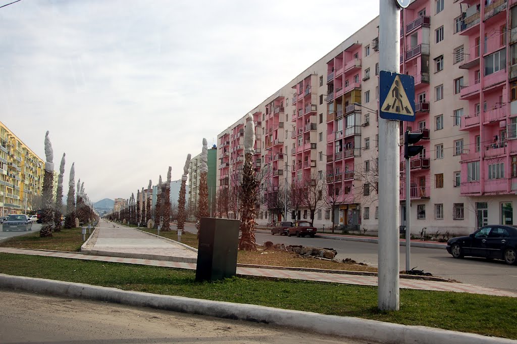 Agmashenebeli avenue, 2012