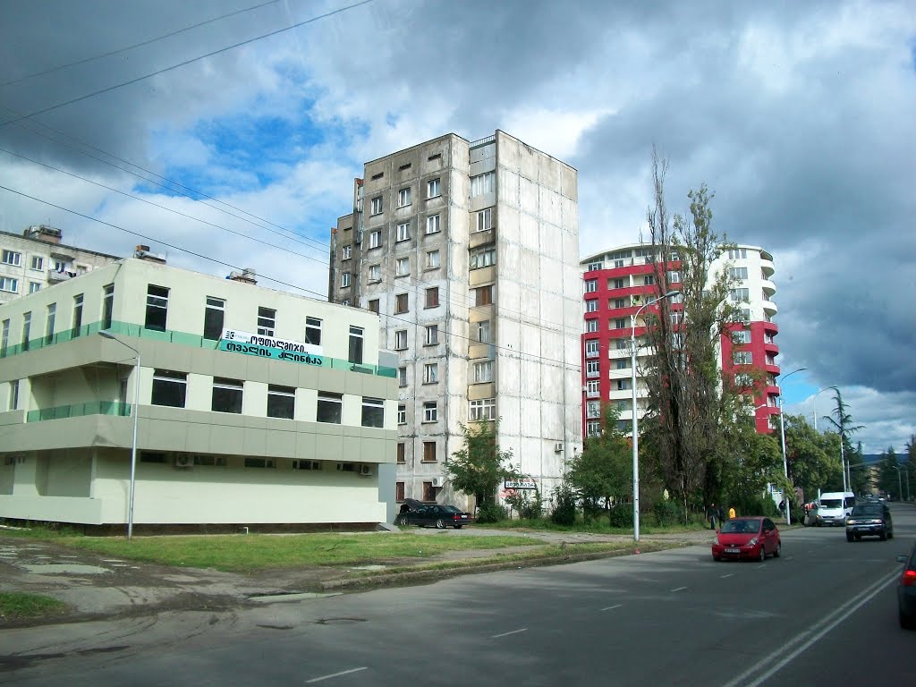 Living blocks in Irakli Abashidze street