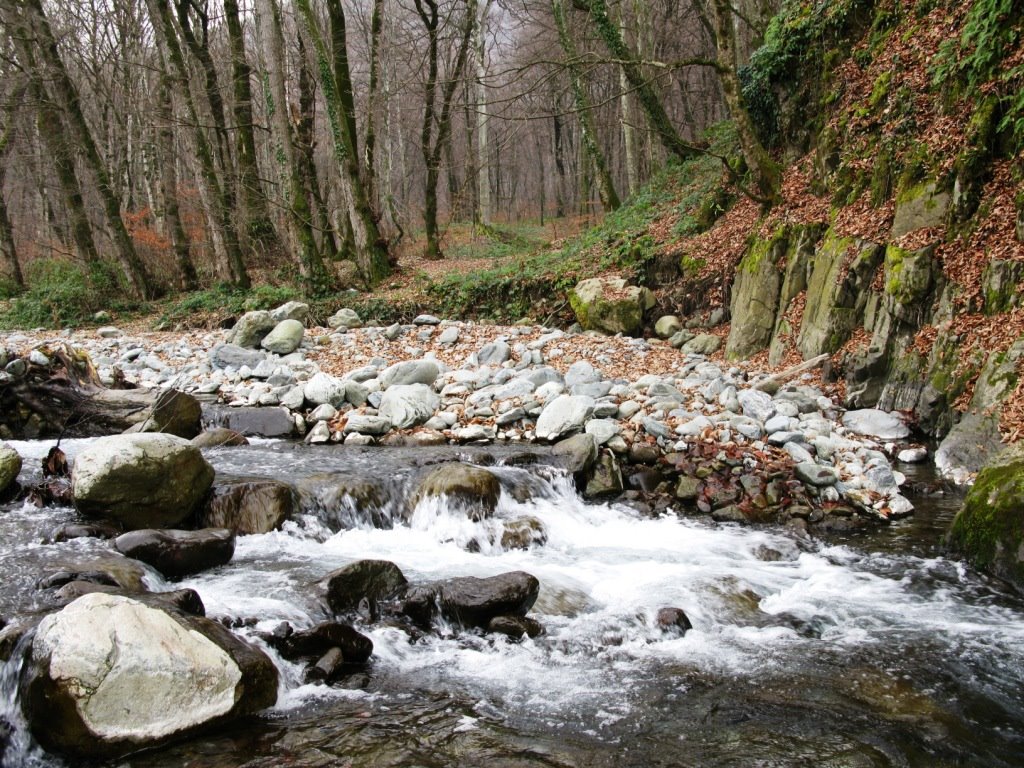 Lagodekhi Protected Areas