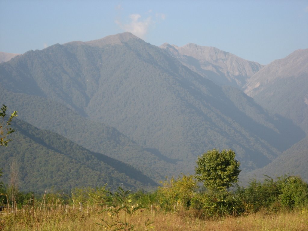lagodexis mtebi