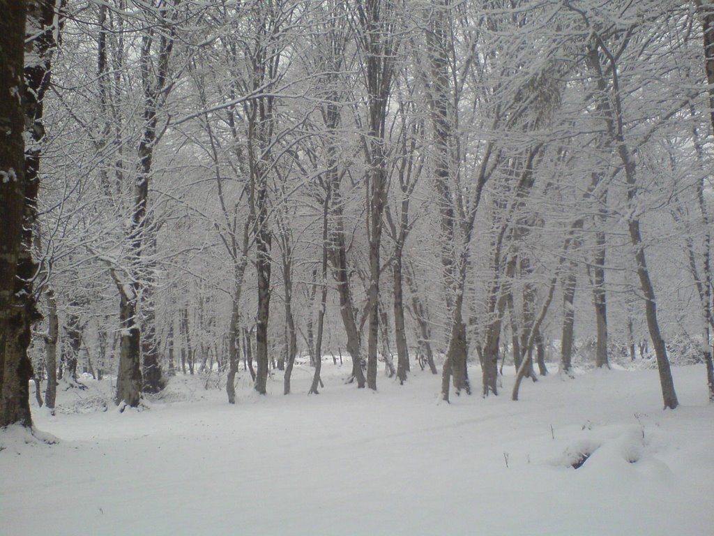 nakrdzali