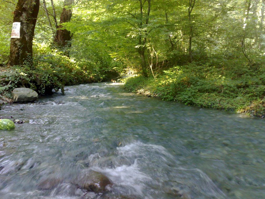 Lagodekhis nakrZali-2