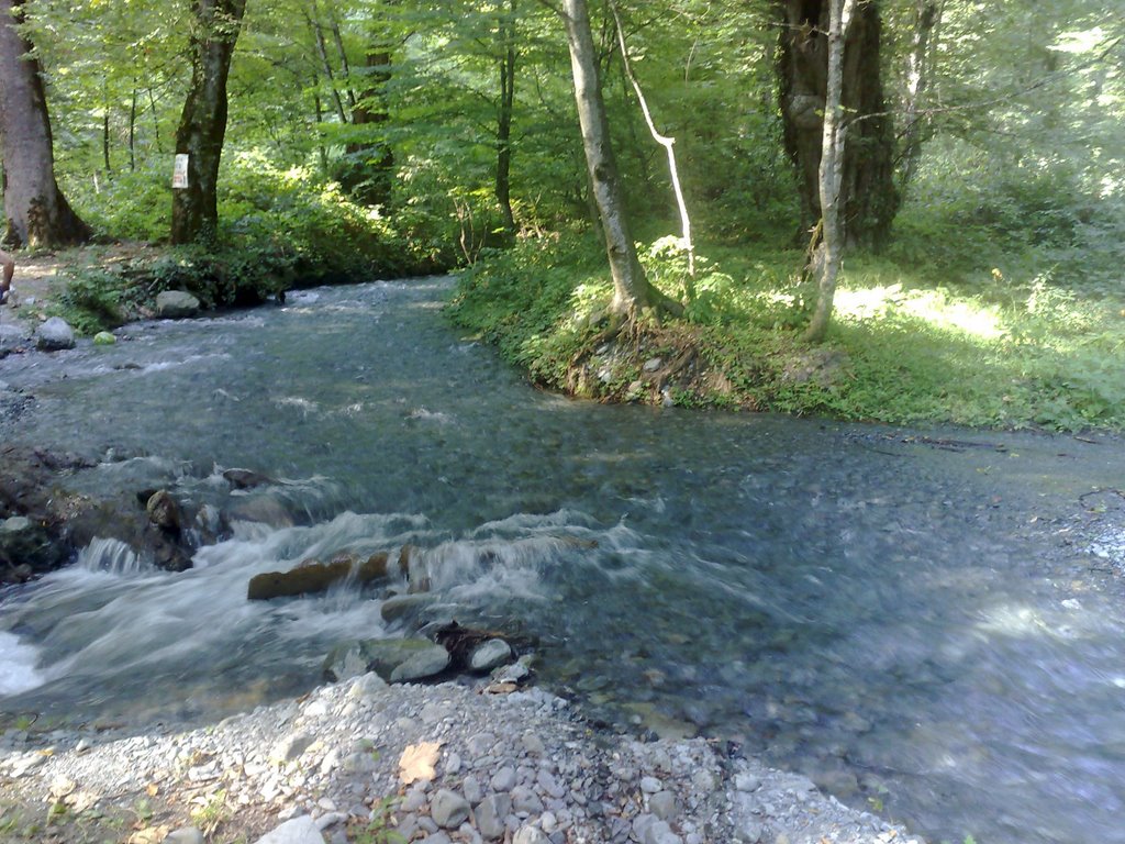Lagodekhis nakrZali-4