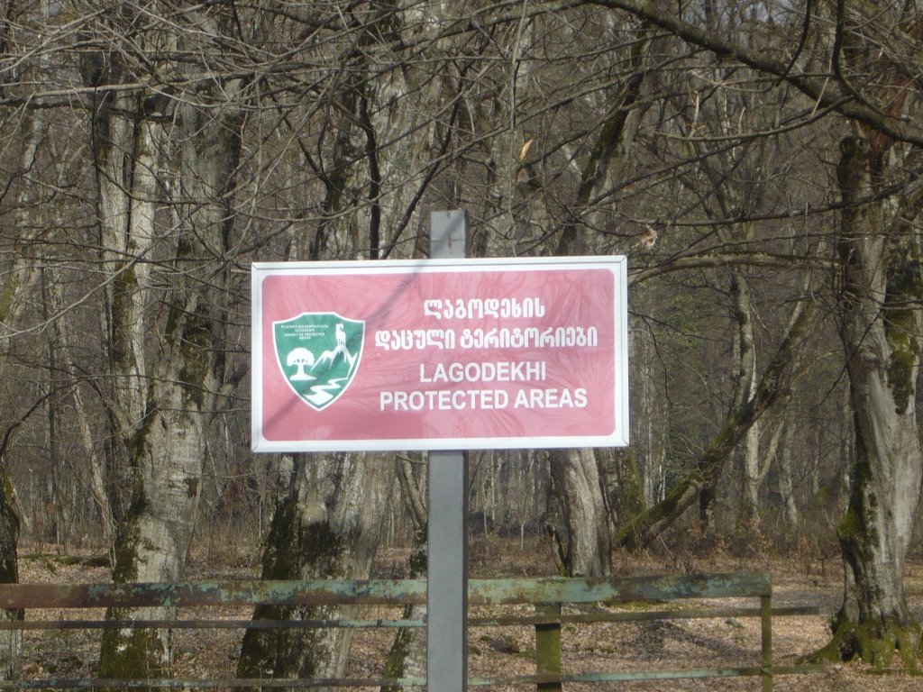 nakrdzali