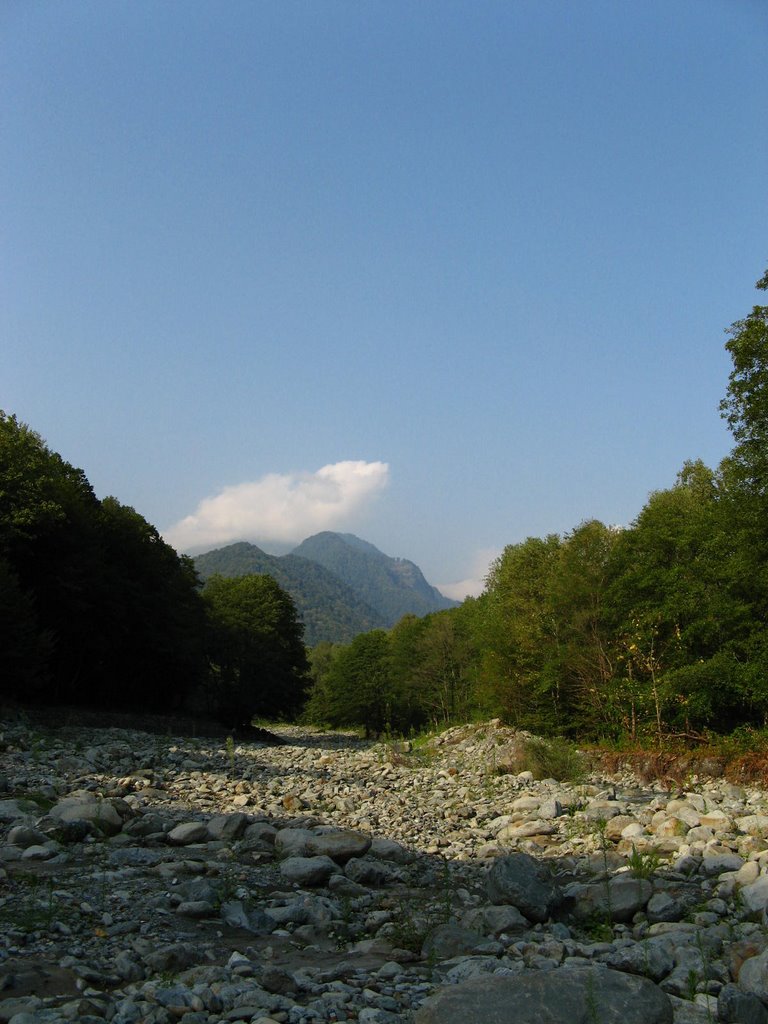lagodexi