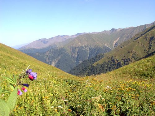 lagodekhi reserve