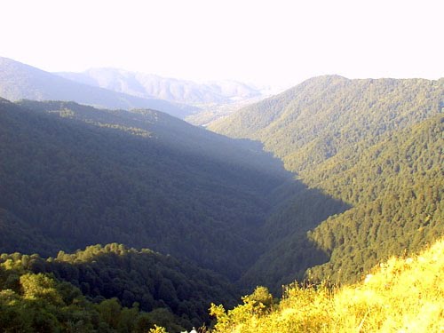 Lagodekhi reserve