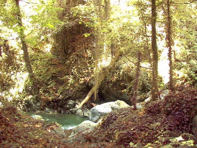 Lagodekhi reserve