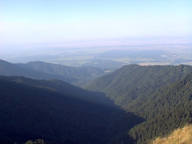 Lagodekhi reserve