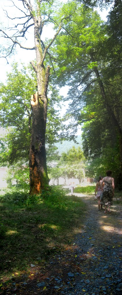 nakrdzali