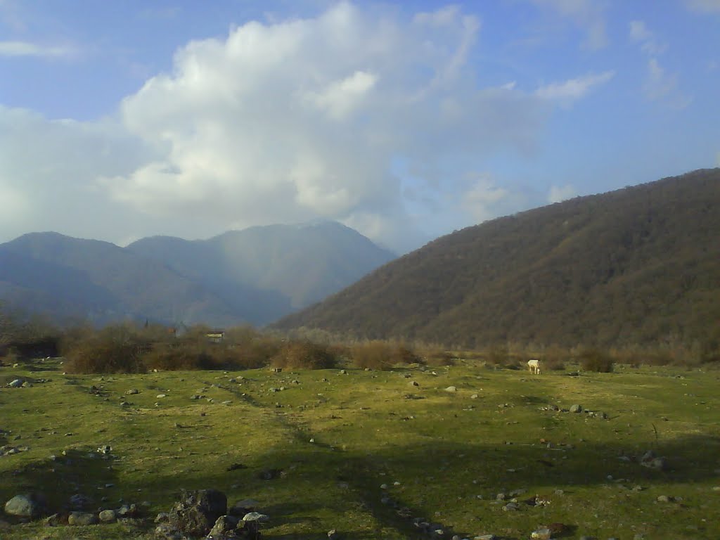 lago