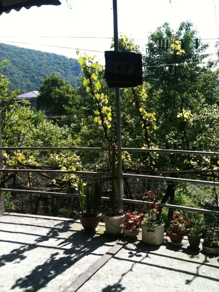 Cminda Ninos St, Lagodekhi, Georgia