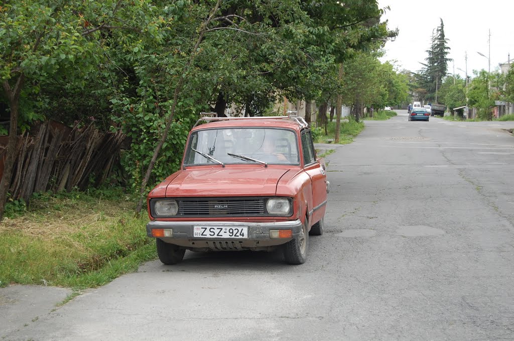 Cminda Ninos St, Lagodekhi, Georgia