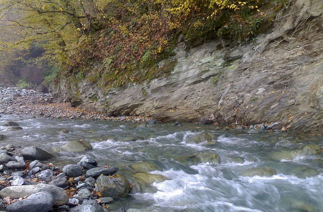 ლაგოდეხის სახელმწიფო ნაკრძალი.Georgia.Lagodekhi Nature Reserve