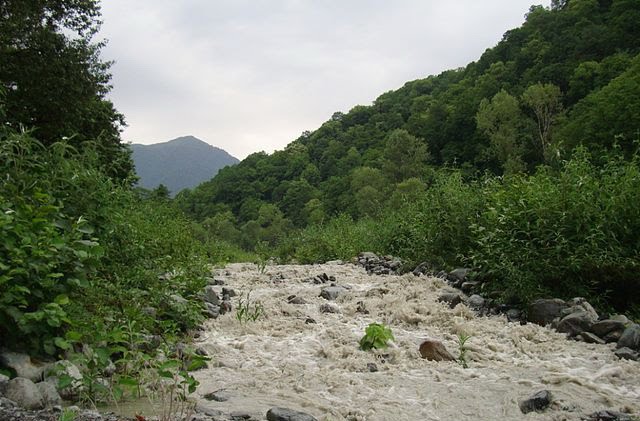 ლაგოდეხის სახელმწიფო ნაკრძალი.Georgia.Lagodekhi Nature Reserve