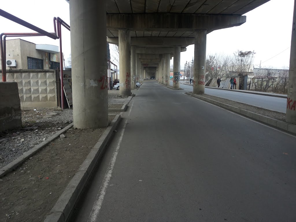 Bridge
