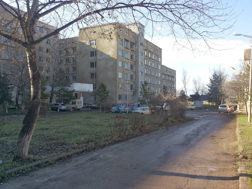Marneuli