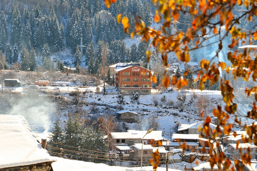 Mestia. Svaneti  hotel Tetnuldi