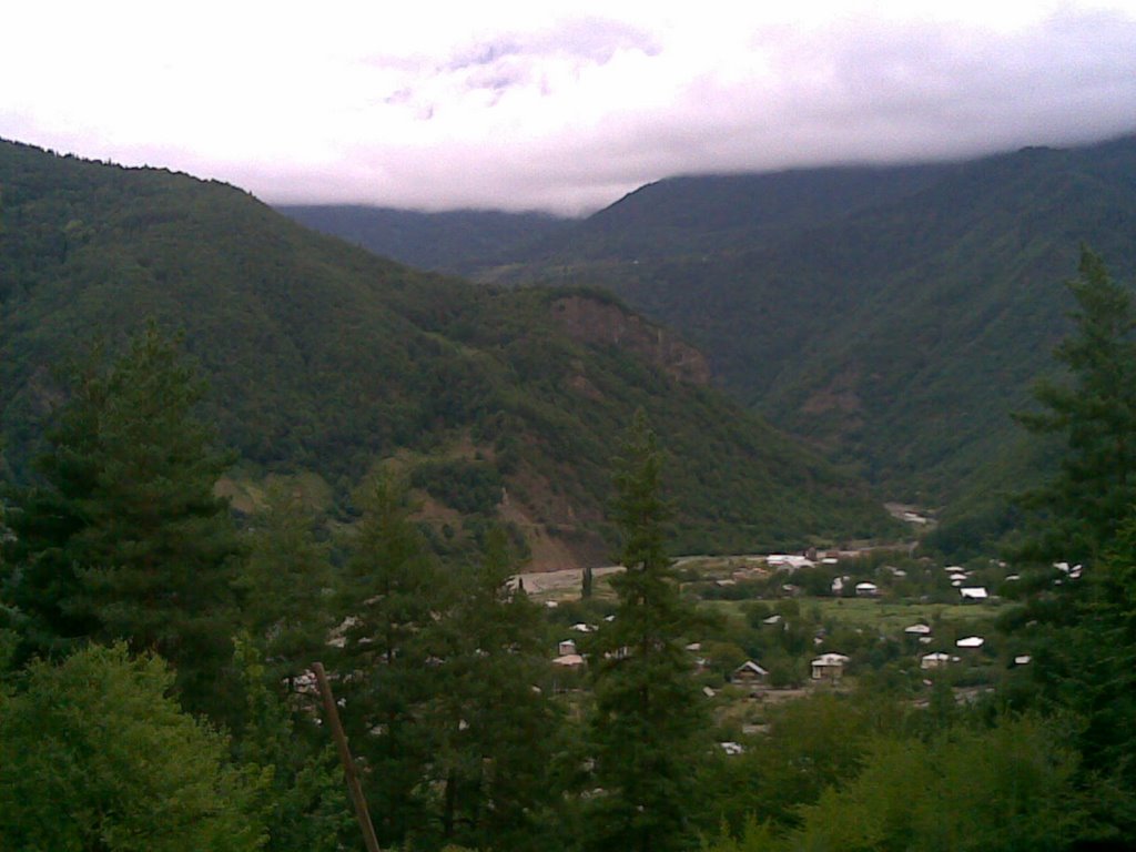 near gari
