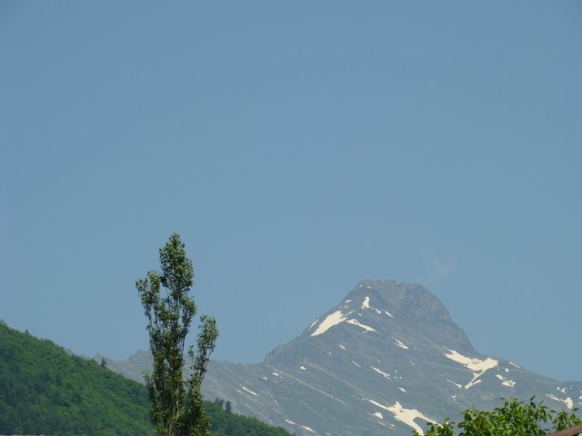კავკასიონი ღარიდან