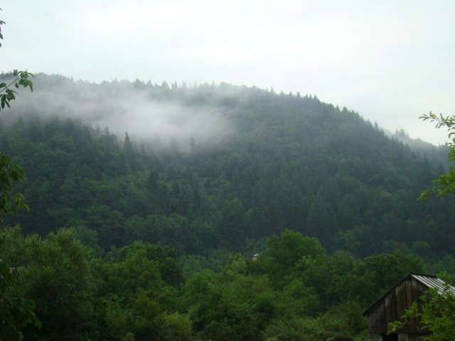 ღარი