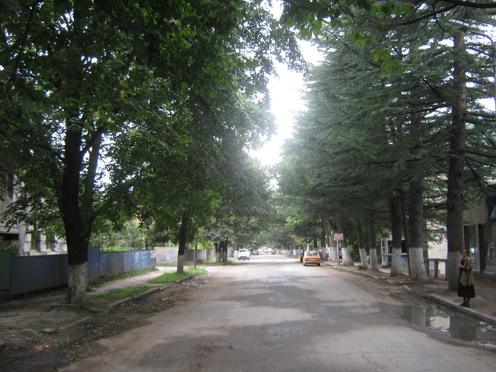ონი/Oni town. Racha region, Georgia