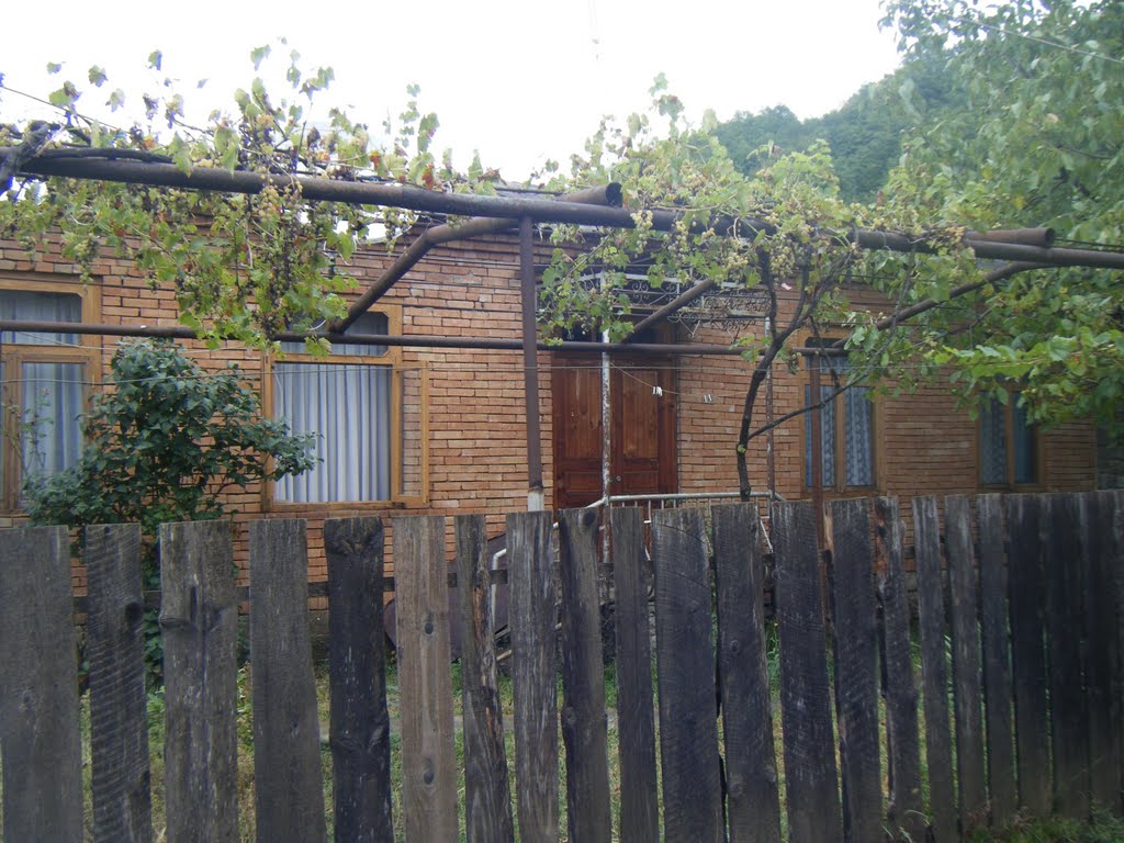 My Home