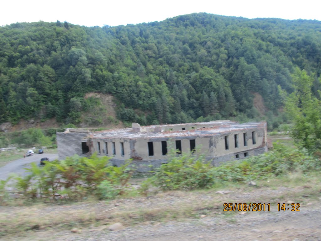 პიპილეთი