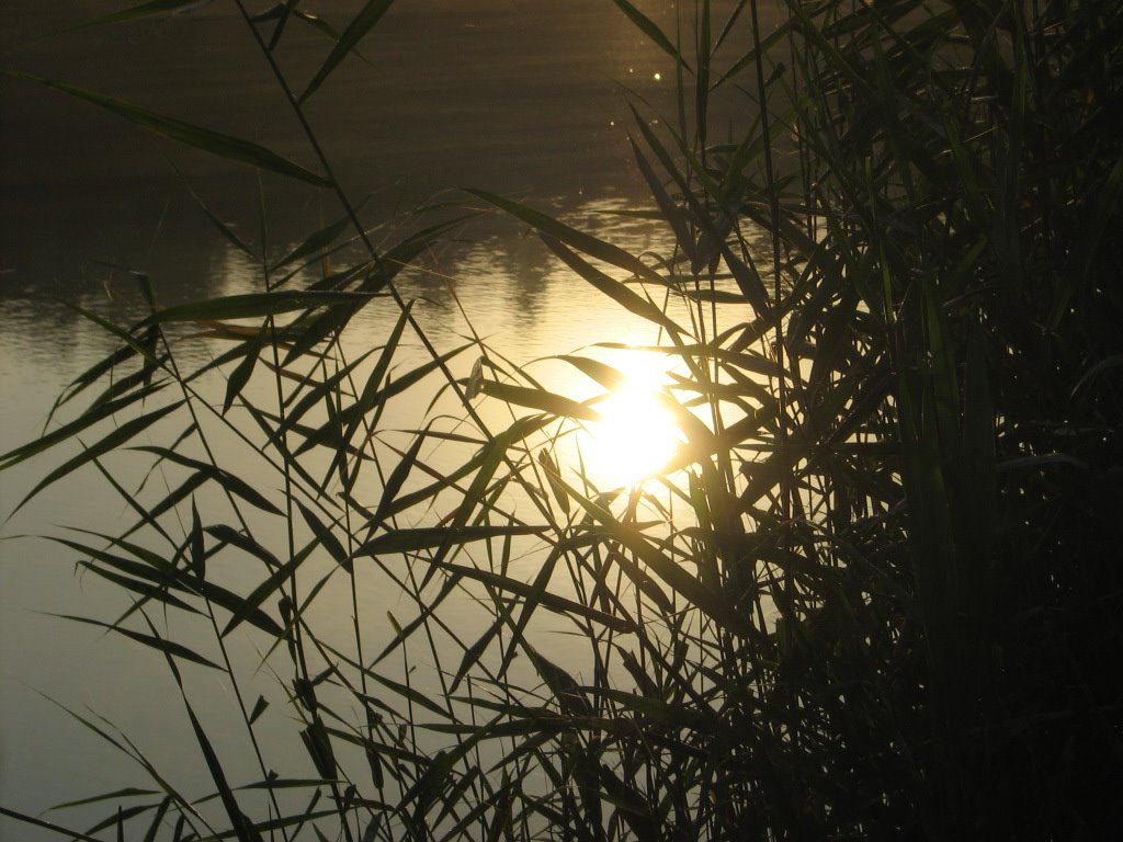 morning In Resting Zone(Ordzho)