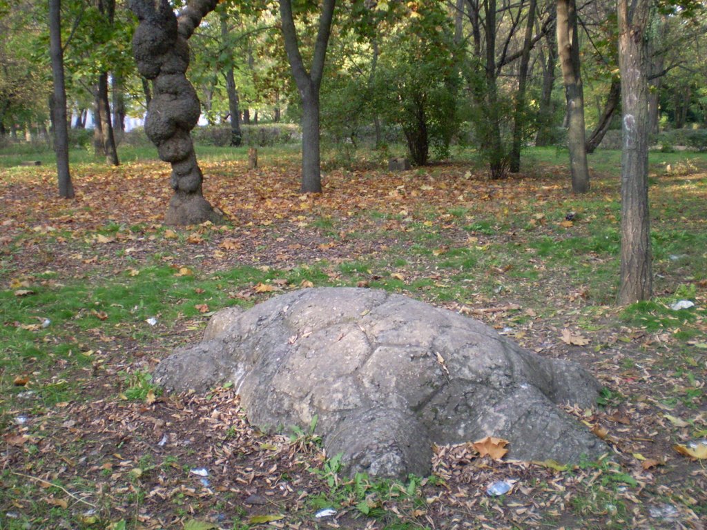 Остатки прошлого