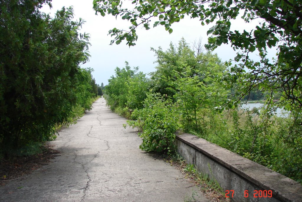 ПОЗАРАСТАЛИ ДОРОЖКИ