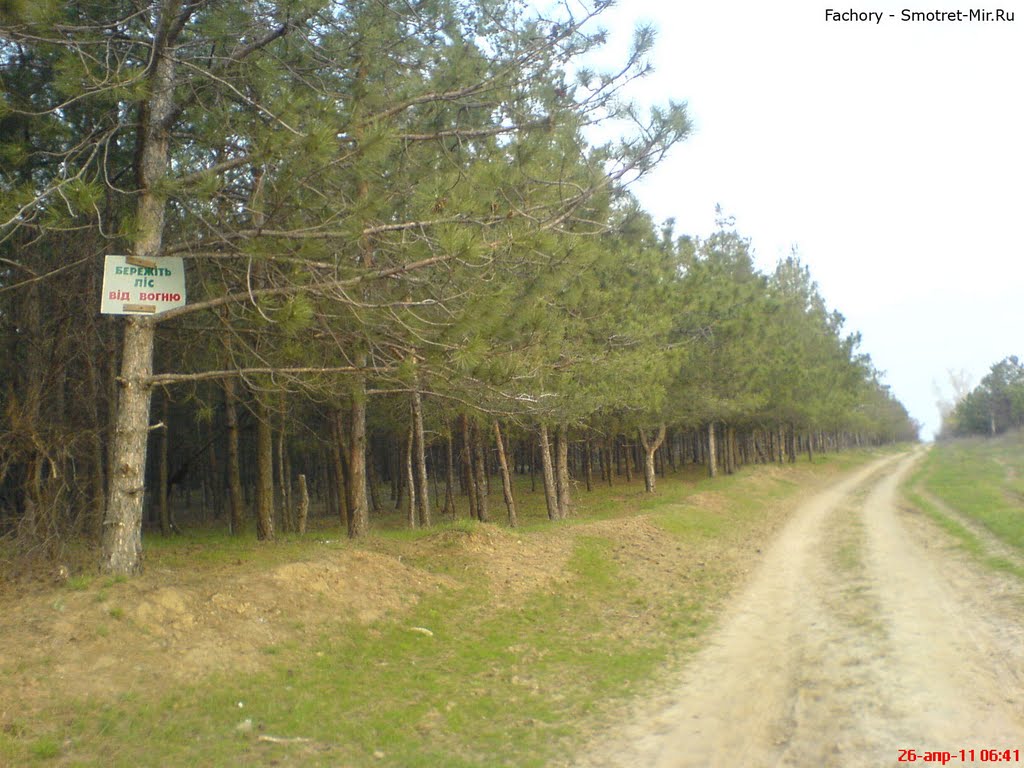 Лесок в Орджоникидзе
