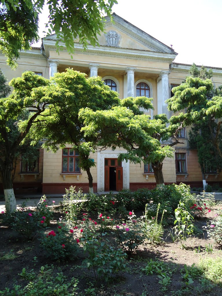 Школа исскуств