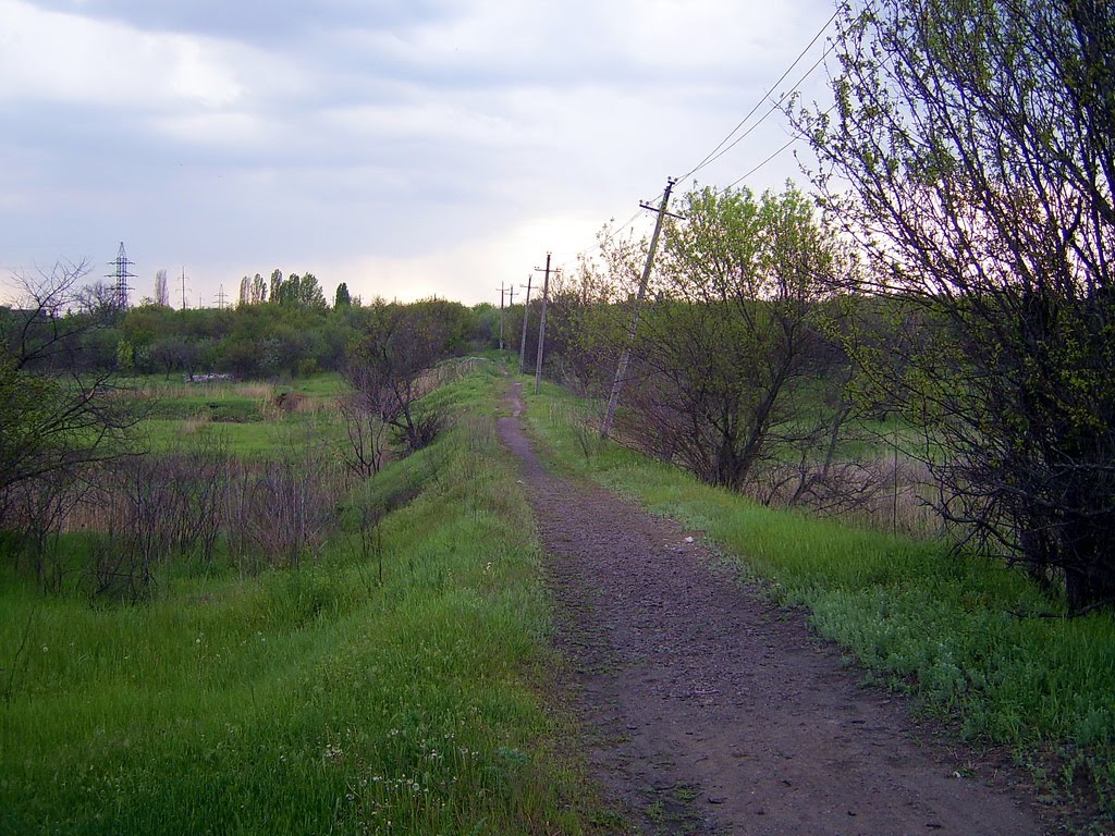 Колишня вузькоколійка