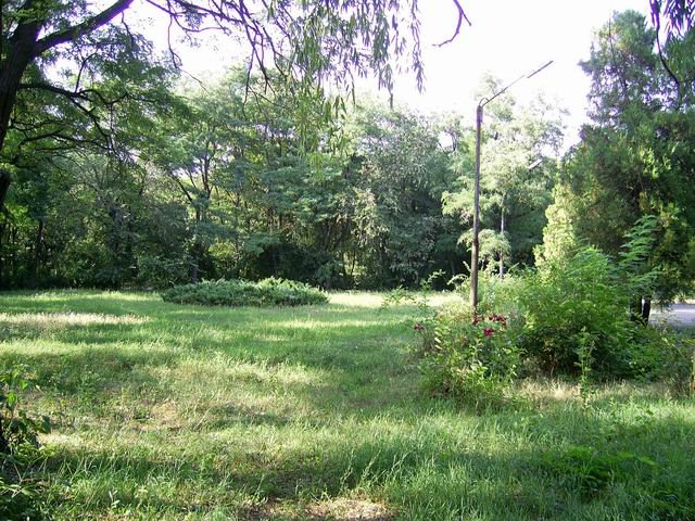 Park