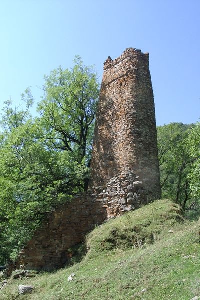 დავითურები ,ზურგიანი კოშკი.defensive tower in Daviturebi(GEORGIA)