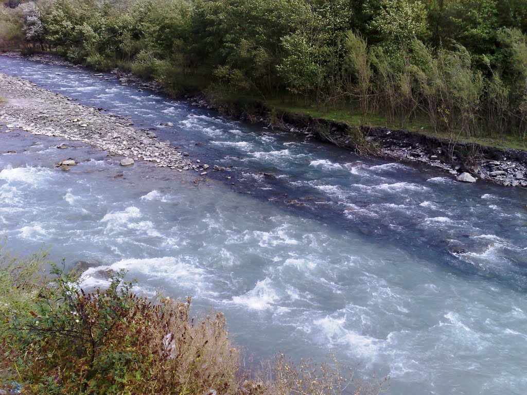 "black" and "white" Aragvi rivers