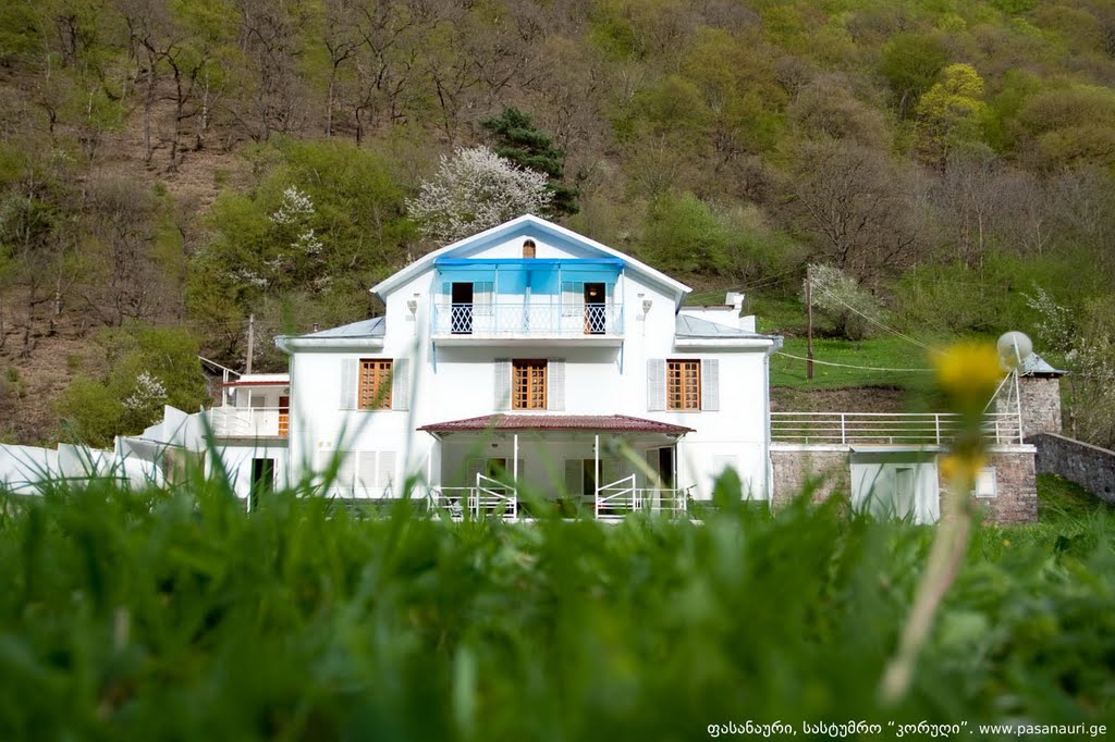Guesthouse "Korugi".