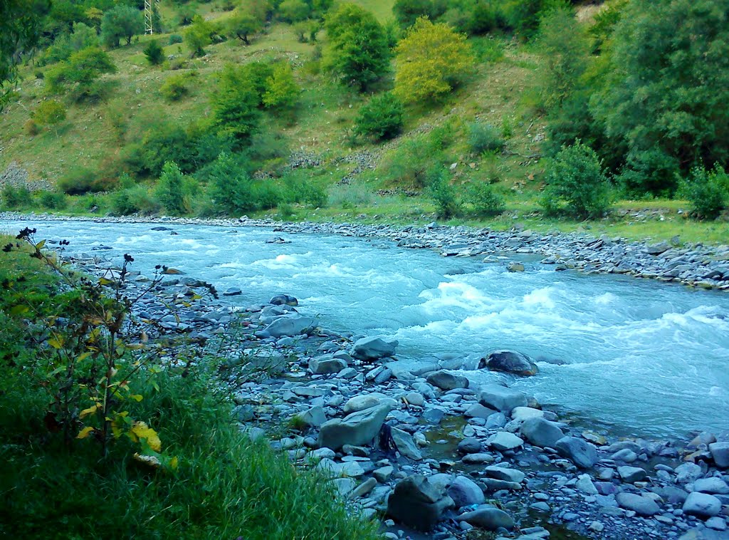 pasanauri