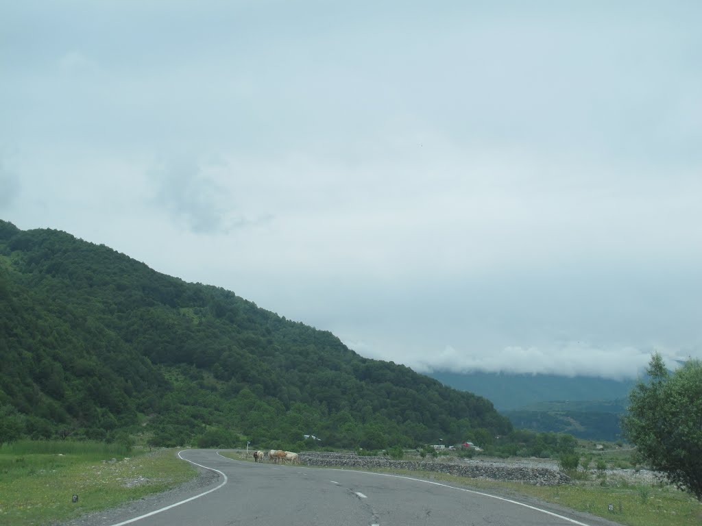 طريق كزباقي ..يمون_12..road kazbegi25