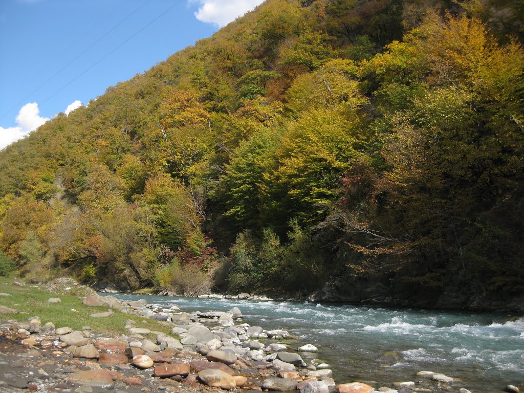 mtiuletis aragvi