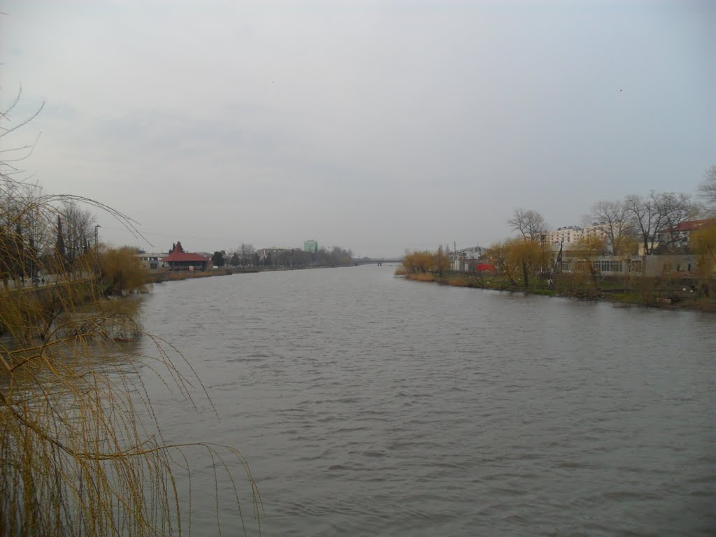 RIONI RIVER POTI