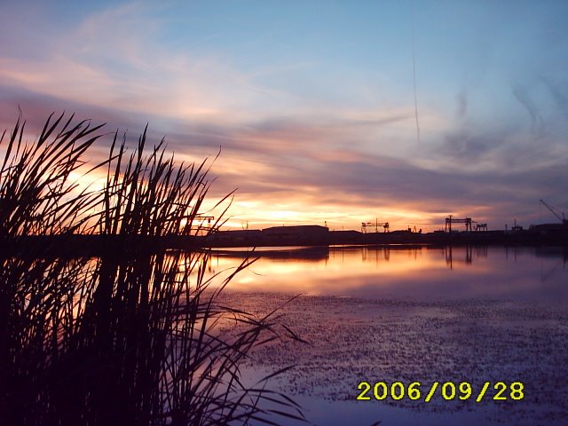 Summer sunset on a Lake