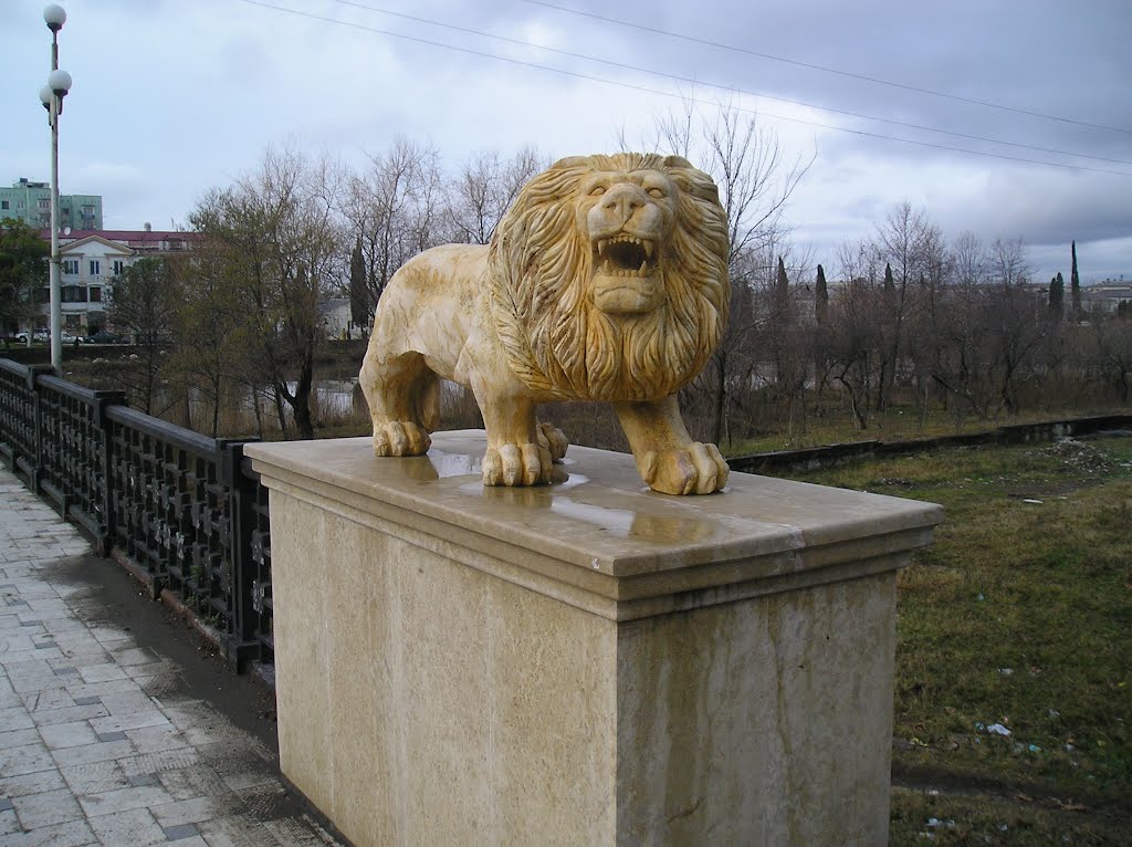 Bridge-guard