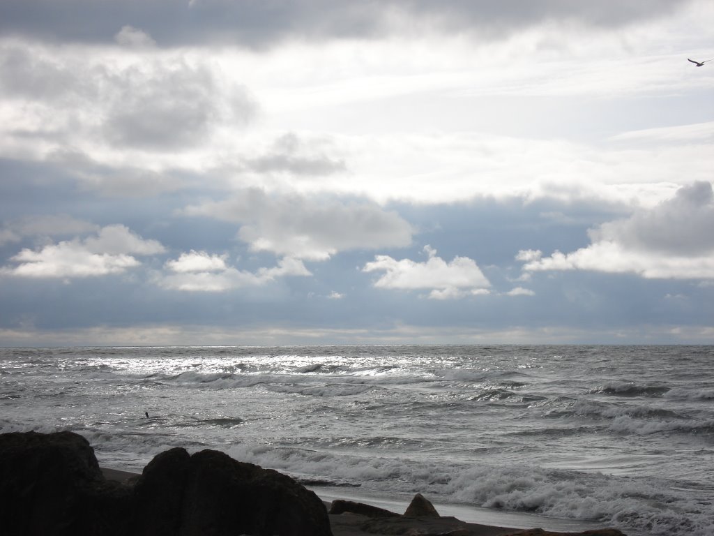 Poti coast