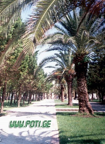 parki
