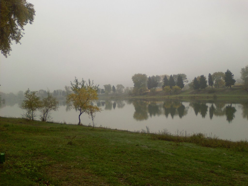 Rustavi Lake in The Park