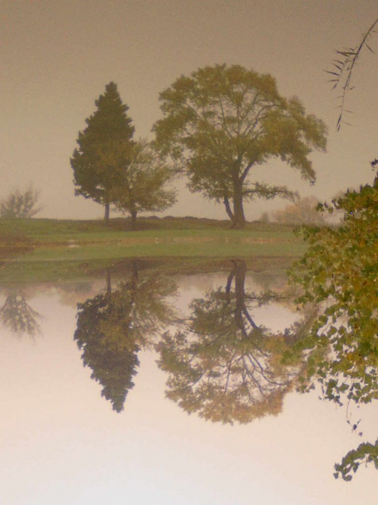 Rustavi, Lake, Park